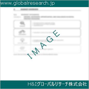 グローバルリサーチ調査資料のイメージ